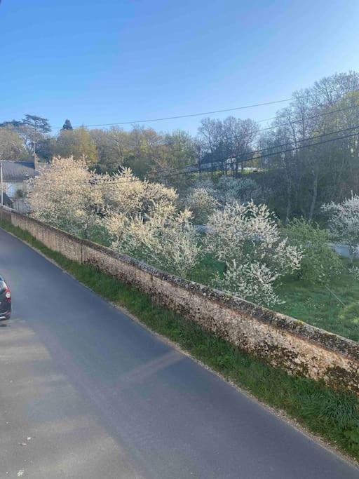 Gite Des Moriers Blois Bord De Loire Exteriér fotografie